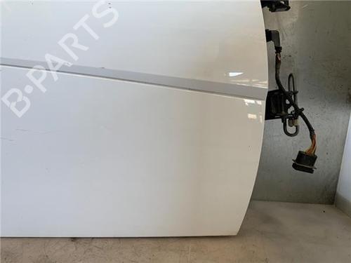 Right front door SMART FORTWO Coupe (451)  | BP25007296C3 