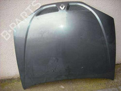 Used Hood RENAULT MEGANE I (BA0/1_) 1.6 16V (BA04, BA0B, BA11, BA1J, BA16, BA19, BA1K, BA1V,... (107 hp) 9667136