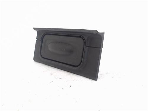 Tailgate handle RENAULT CLIO III (BR0/1, CR0/1)  | BP17240081C132 
