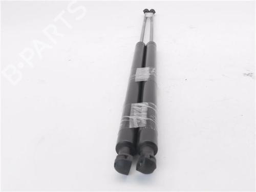 Tailgate lift support BMW 3 Compact (E46)  | BP29574387C138 