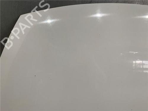 Hood CITROËN C3 I (FC_, FN_)  | BP21359706C1 
