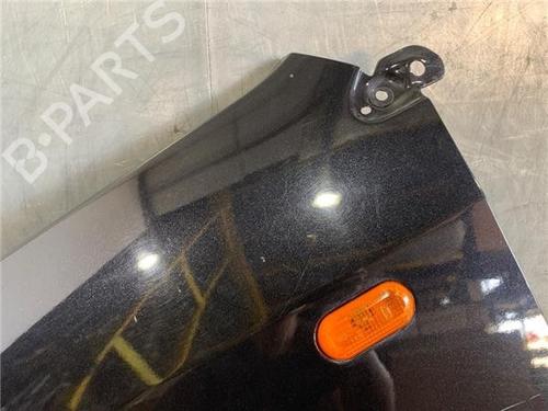 Left front fenders FORD FUSION (JU_) 1.6 TDCi | BP29284992C41 