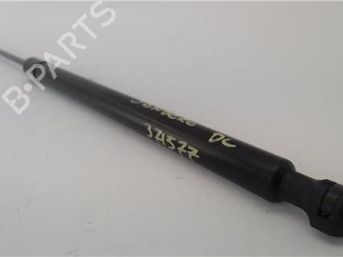 Hood lift support DACIA SANDERO II 1.0 SCe 75 (B8JC, B8JD, B8NC) | BP29251110C139 