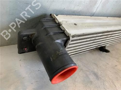 Intercooler CHEVROLET CAPTIVA (C100, C140)  | BP26445921M30 