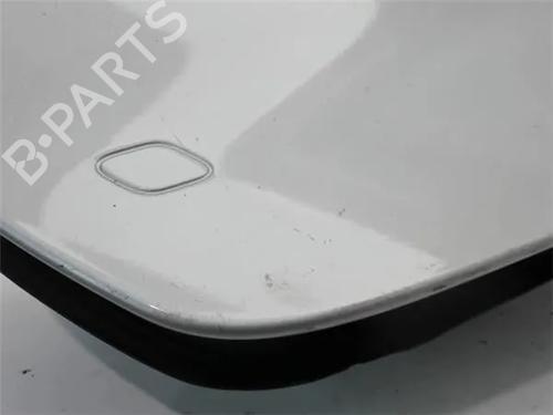 Fuel flap FIAT TIPO Hatchback (356_, 357_) 1.4 (356HXA1B, 357) | BP18295754C131