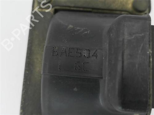 Ignition coil RENAULT TWINGO I (C06_)  | BP22432857M94 