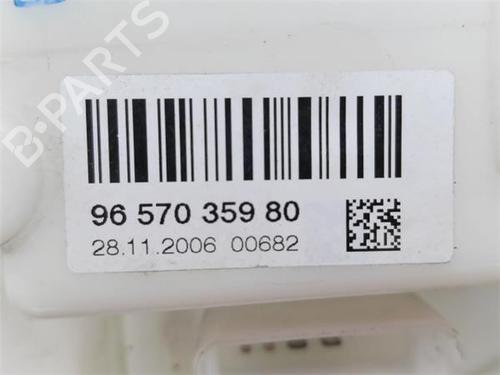 Fuel pump PEUGEOT 207 (WA_, WC_)  | BP20137324M76