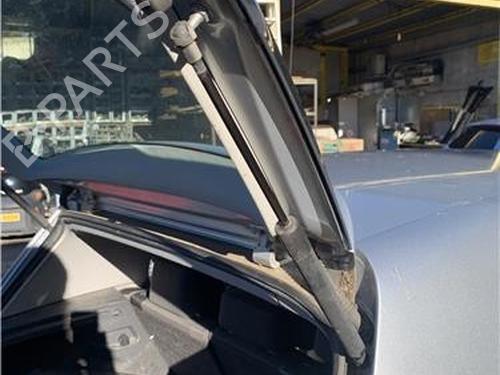 Tailgate lift support VW GOLF V (1K1)  | BP32419307C138 