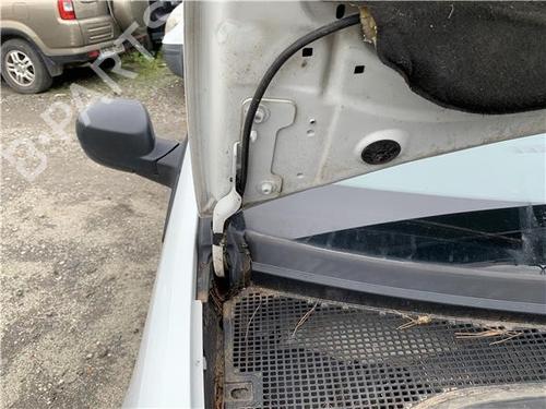 Used Hinge/Door check strap Hinge/Door check strap RENAULT CLIO III (BR0/1, CR0/1) [2005-2014] 32419612 32419612