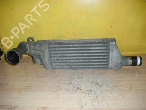 Intercooler OPEL CORSA C (X01) [2000-2009]  9635066