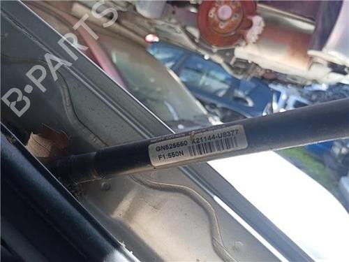 Used Tailgate lift support NISSAN PRIMERA Hatchback (P12) [2002-2026]  32417518