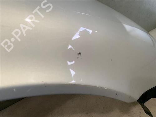 Right front fenders SEAT TOLEDO II (1M2) 1.9 TDI | BP22633211C42 