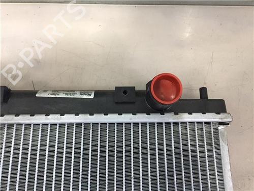 Water radiator NISSAN ALMERA II (N16)  | BP11789208M31
