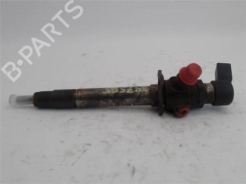Injector LAND ROVER RANGE ROVER SPORT I (L320) 2.7 D 4x4 | BP19134283M100 