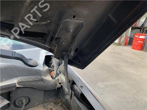 Hinge/Door check strap JEEP COMPASS (MK49) 2.0 CRD | BP32417964C146 