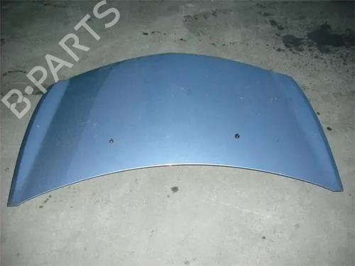 Used Hood RENAULT CLIO III (BR0/1, CR0/1) 1.5 dCi (C/BR0G, C/BR1G) (68 hp) 9685018