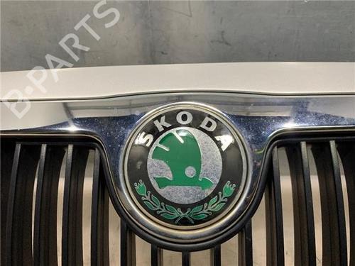 Grill SKODA FABIA I (6Y2)  | BP16059958C40 