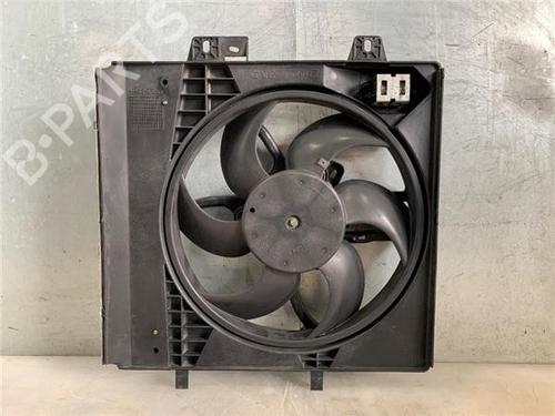 Used Radiator fan PEUGEOT 207 CC (WD_) [2007-2015]  25496011