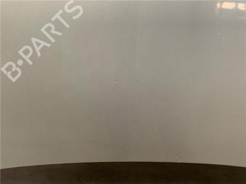 Hood OPEL CORSA D (S07)  | BP22432901C1 