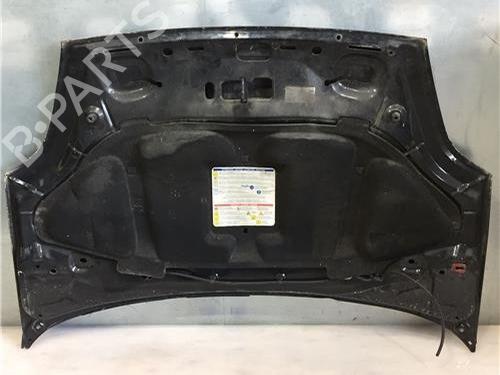 Hood FIAT GRANDE PUNTO (199_) 1.9 D Multijet | BP9685604C1