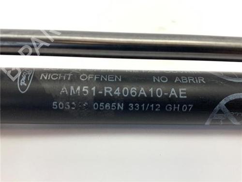 Tailgate lift support FORD C-MAX II (DXA/CB7, DXA/CEU)  | BP30555287C138 