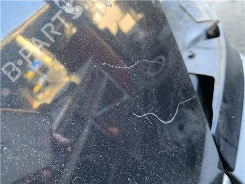 Tailgate OPEL ANTARA A (L07) 2.2 CDTi | BP29134824C6 