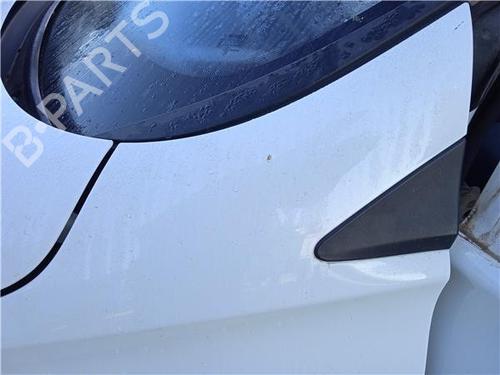 Guarda-lamas esquerdo RENAULT ZOE (BFM_) [2012-2026]  20658267