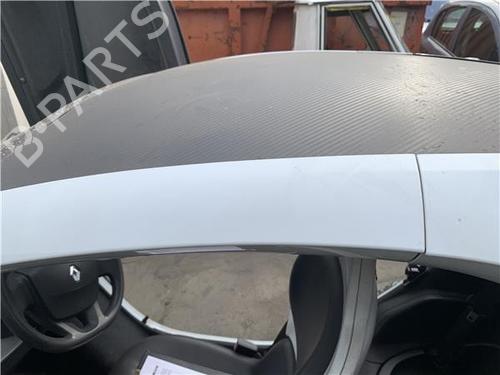 Tagræling RENAULT TWIZY (MAM_)  | BP32450837C65 