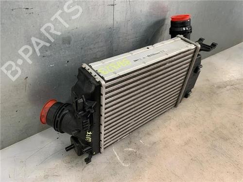 Intercooler NISSAN QASHQAI II (J11, J11_)  | BP25009961M30