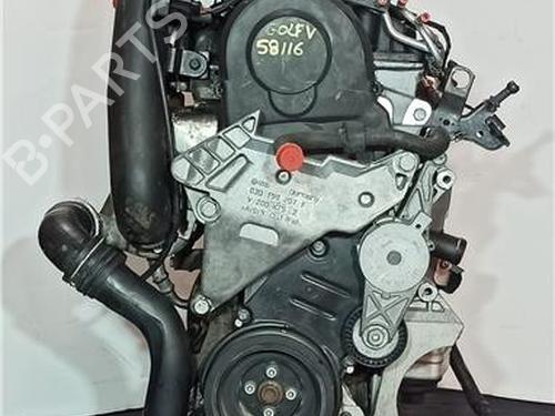 Engine VW GOLF V (1K1) 1.9 TDI | BP12184030M1 