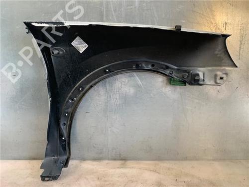 Left front fenders OPEL COMBO Box Body/MPV 1.3 CDTI 16V | BP13902685C41 