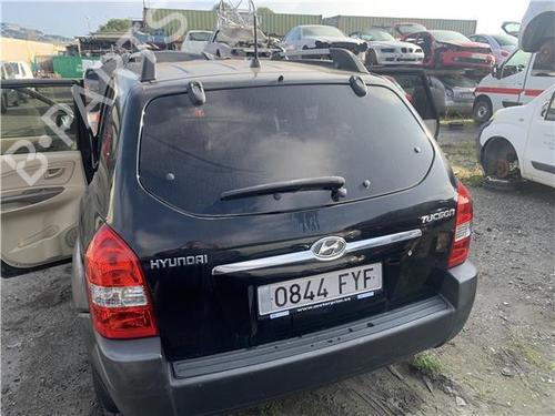 Used Tailgate Tailgate HYUNDAI TUCSON (JM) 2.0 (141 hp) 33729528 33729528