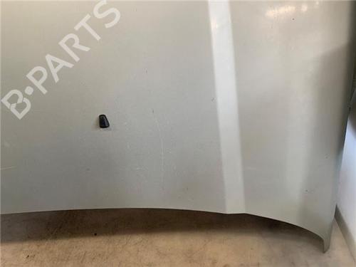 Hood LAND ROVER DISCOVERY III (L319) 2.7 TD 4x4 | BP19135792C1 