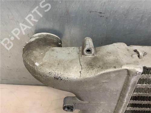Intercooler NISSAN CABSTAR E (TL_, VL_)  | BP25718916M30 