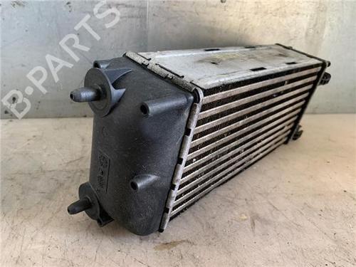Intercooler CITROËN C4 Picasso I MPV (UD_)  | BP29502857M30 