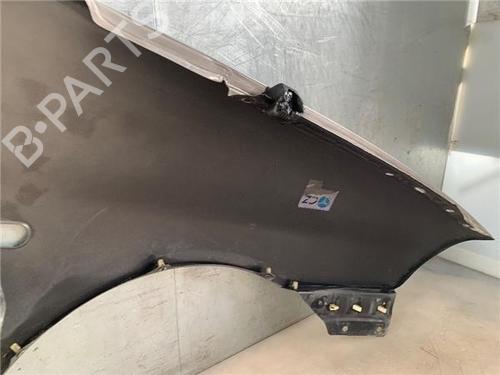 Left front fenders SEAT IBIZA III (6L1) 1.9 TDI | BP22432900C41 