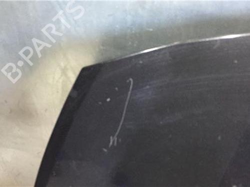 Hood RENAULT CLIO III (BR0/1, CR0/1)  | BP9685691C1 