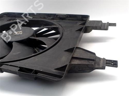 Radiator fan RENAULT SCÉNIC II (JM0/1_) 1.5 dCi (JM1E, JM16) | BP25007324M35 