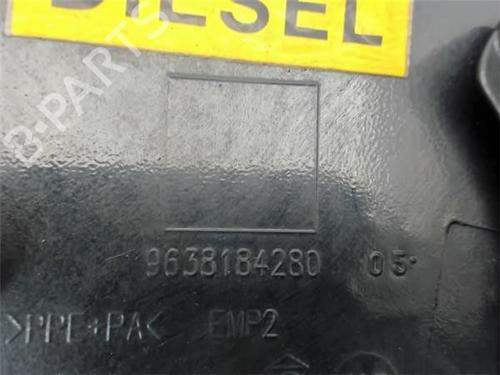 Fuel flap CITROËN C3 I (FC_, FN_)  | BP13388312C131 