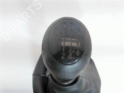 Gear lever RENAULT TRAFIC III Van (FG_)  | BP14341946M90 