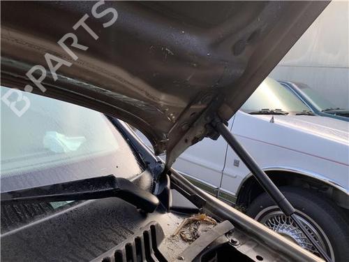 Hinge/Door check strap JAGUAR X-TYPE I (X400) 2.0 D | BP32418944C146 