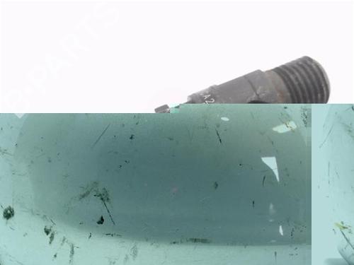 Injector RENAULT CLIO III (BR0/1, CR0/1)  | BP24622572M100 