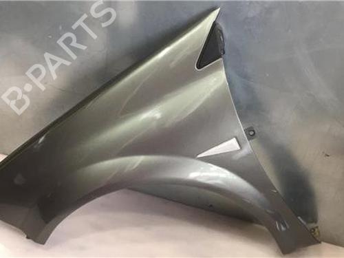 Used Left front fenders RENAULT MEGANE II (BM0/1_, CM0/1_) [2001-2012]  13049631