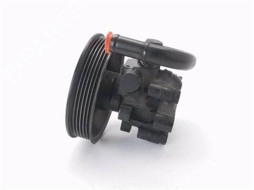 Steering pump CHEVROLET EPICA (KL1_) 2.0 | BP29754448M99