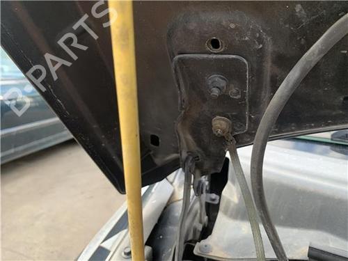 Hinge/Door check strap JEEP COMPASS (MK49) 2.0 CRD | BP32417963C146 