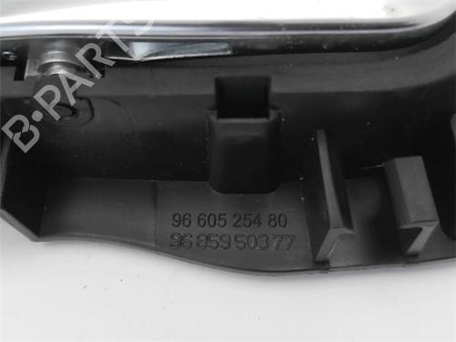 Front left interior door handle CITROËN C4 II (NC_)  | BP23408743I13 
