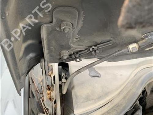 Hinge/Door check strap SEAT LEON (1P1) 1.9 TDI | BP32417860C146 