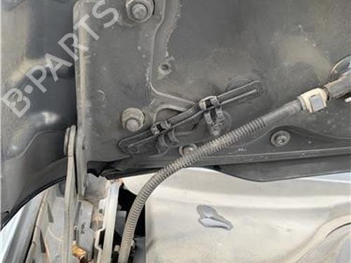 Hinge/Door check strap SEAT LEON (1P1) 1.9 TDI | BP32417860C146 