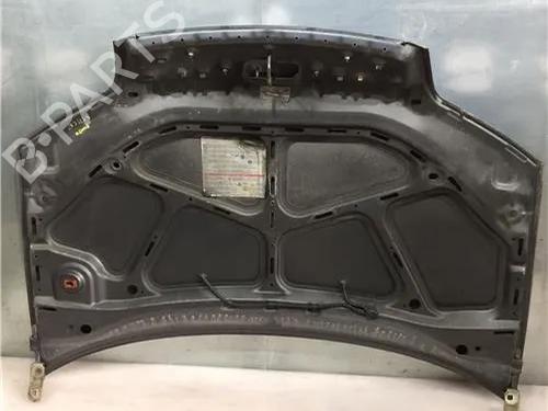 Hood FIAT PUNTO (188_)  | BP9683759C1 