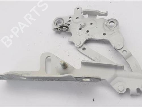 hingedoor-check-strap-bmw-1-f20-2011-2012-2013-2014-2015-2016-2017-2018-2019-29134895 main image